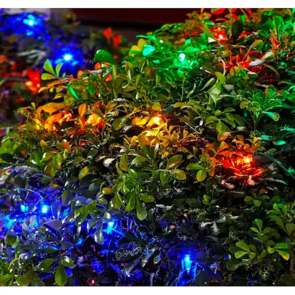 Home Accents Holiday‎ 150 Multi Colored Mini LED Net Lights Steady Lit 4x6 ft